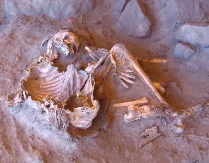 un lignaggio ancestrale nordafricano precedentemente sconosciuto