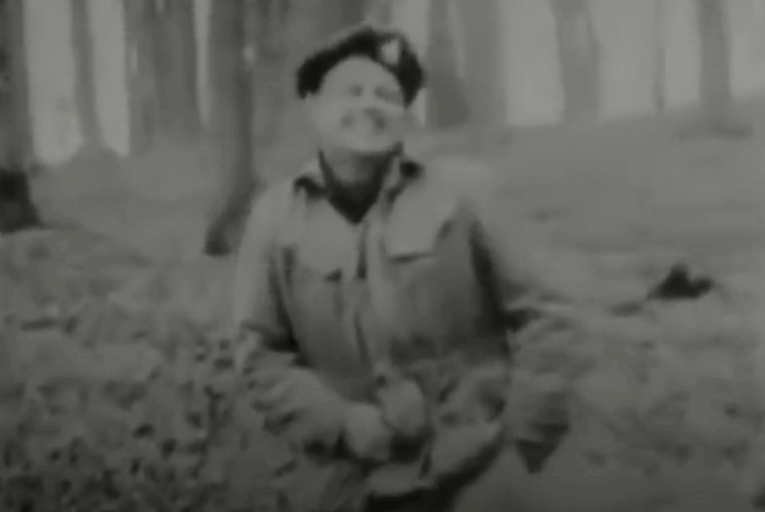 LSD ai Royal Marines