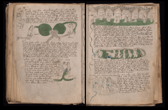 Manoscritto Voynich: un mistero ostinato